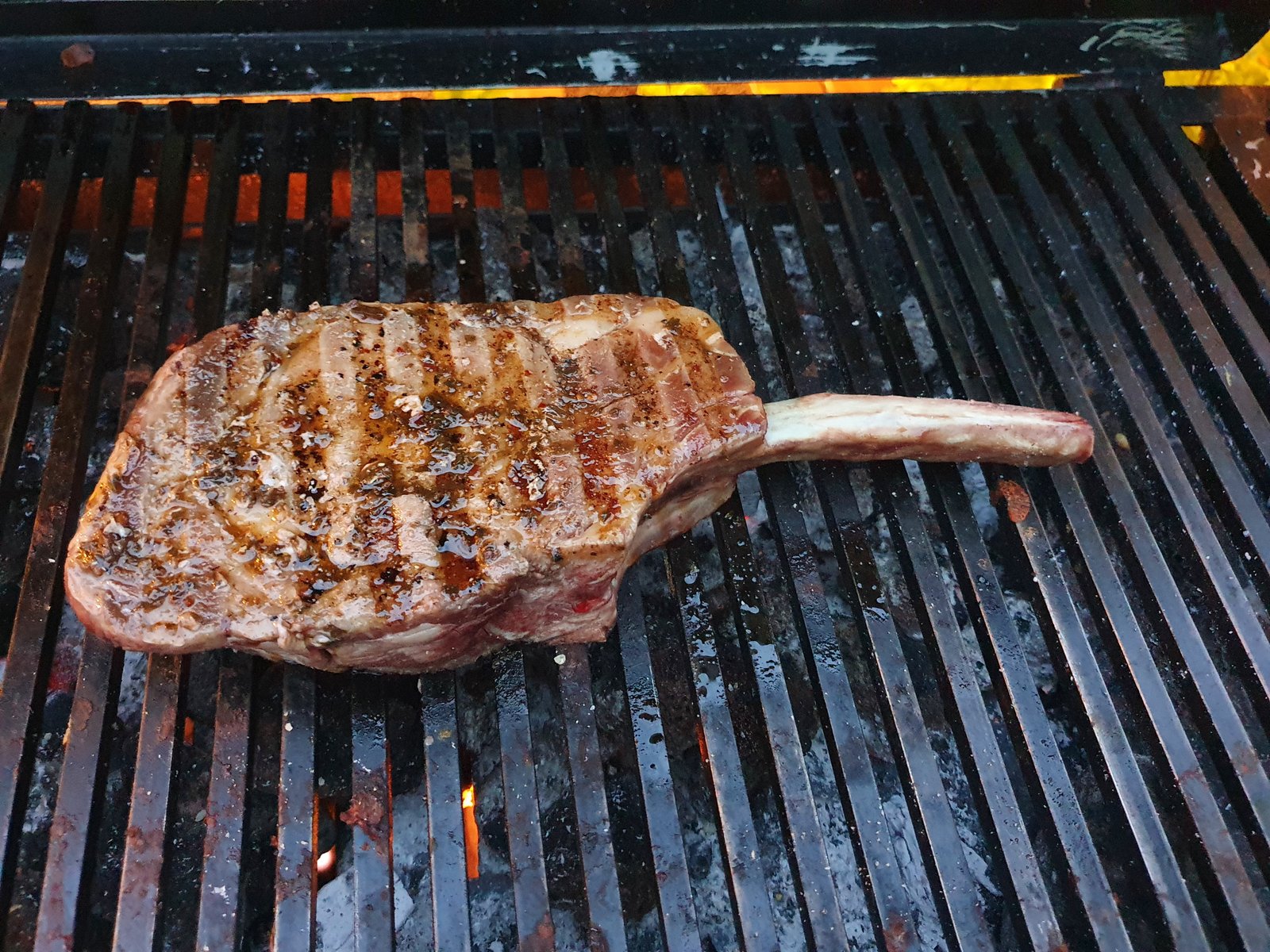 Ribeye premium Carne & Pisto